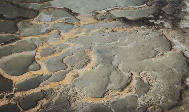 Oaxaca, Oaxaca / Meksika - 21/7/2018: Hierve el agua Oaxaca Meksika doğal sit detay