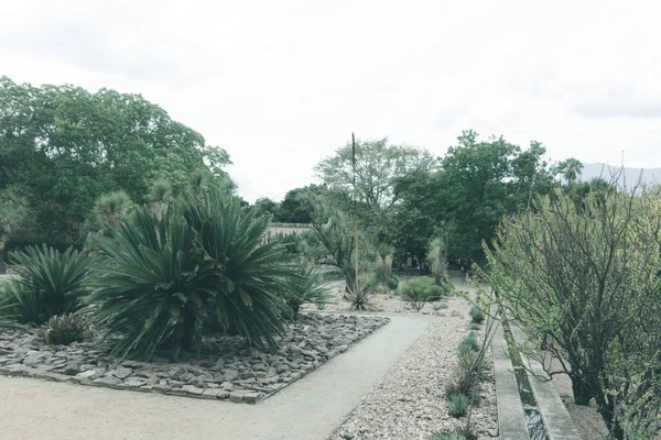 Oaxaca Oaxaca México 2018 Detalle Del Jardín Etnobotánico Oaxaca México —  Fotos de Stock