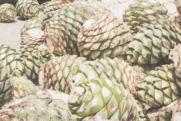 Fotografia Alguns Corações Agave Oaxaca México — Fotografia de Stock