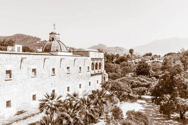 Oaxaca Oaxaca México 2018 Detalhe Templo Santo Domingo Centro Oaxaca — Fotografia de Stock