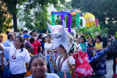 Oaxaca, Oaxaca / Meksika - 21/7/2018: (detay şehir Oaxaca Meksika geleneksel Guelaguetza kutlama )
