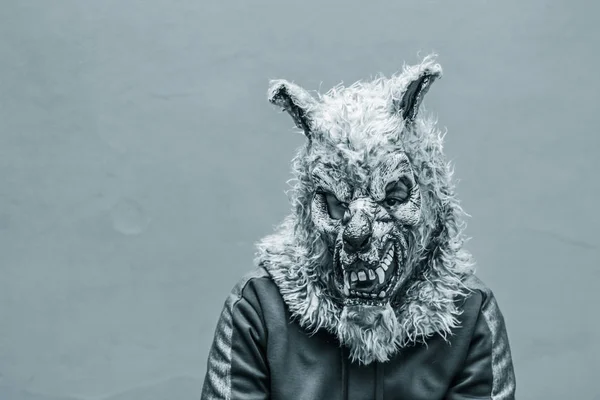 Photograph Person Wolf Mask — Stock Photo, Image