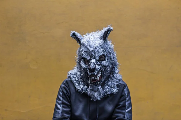 Photograph of a person with a wolf mask