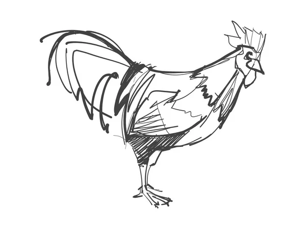 Rooster digital hand drawn illustration — Stock Photo, Image