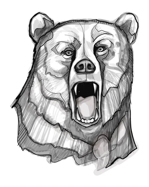 Oso tinta vector digital ilustración — Archivo Imágenes Vectoriales