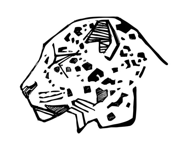 Jaguar rosto vetor desenhado à mão ilustração — Vetor de Stock