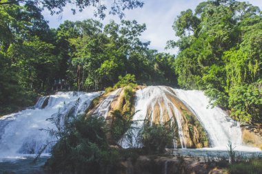 Cascadas de Agua Azul Chiapas Meksika Şelaleler