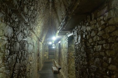 Palenque Chiapas Meksika arkeolojik sitenin detay