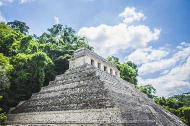 Palenque Chiapas Meksika arkeolojik sitenin detay