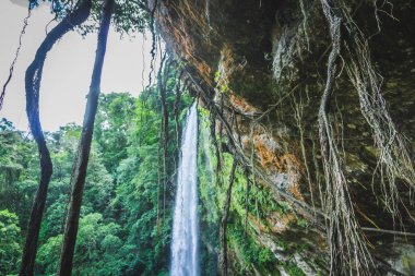 Chiaapas Meksika Chifon şelale detay