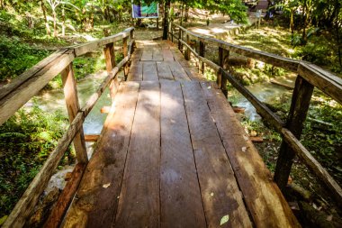 bir orman içinde ahşap köprü