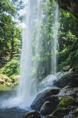 Chiaapas Meksika Chifon şelale detay
