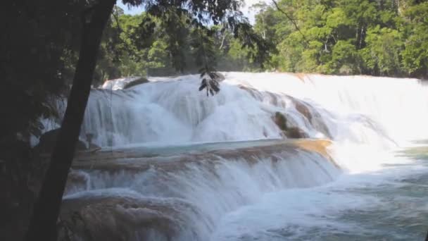 Vídeo Uma Cachoeira Fluindo Rochas — Vídeo de Stock