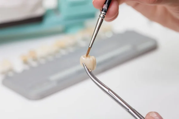 painting a tooth crown in dental laboratory