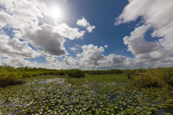 Mooie Everglades landschappen — Stockfoto