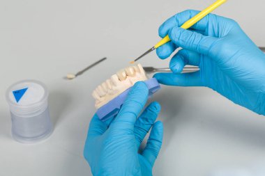 Yapay diş fırçasıyla boyama işini kapatın.