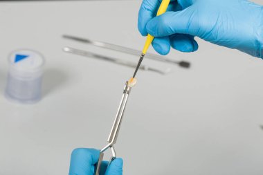 Yapay diş fırçasıyla boyama işini kapatın.