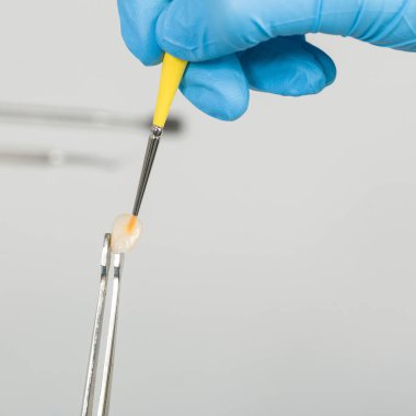 Yapay diş fırçasıyla boyama işini kapatın.