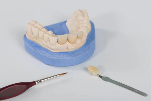 Primo Piano Della Manipolazione Pronto Uso Poppa Dentizione Artificiale — Foto Stock
