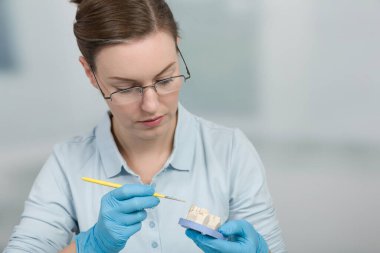 Kadın diş teknisyeni bir diş laboratuvarında takma dişler üzerinde çalışıyor.