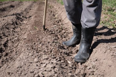 Bahçe el tarak ile yetiştirilmesi