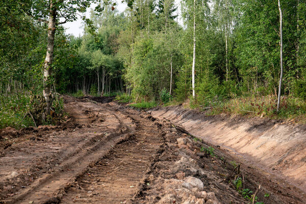система дренажной канавы в лесу для сбора воды
