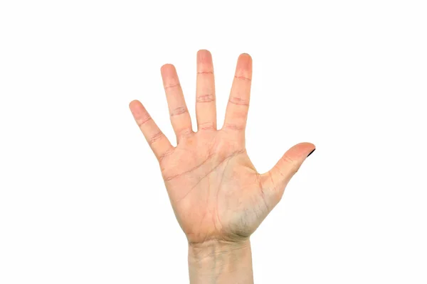 Five finger on white background — Stock Photo, Image