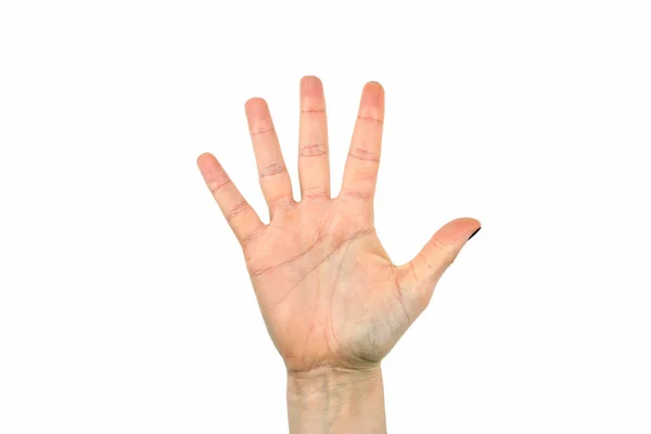 白い背景の上の 5 つの指 ロイヤリティフリーのストック写真