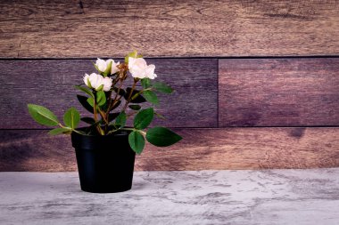 Ahşap bir arka plan üzerinde Dekorasyon yapay çiçek