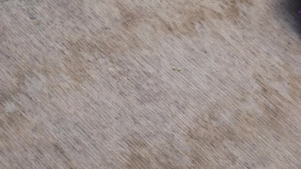 Forest strawberries on a wooden table — Stock Video