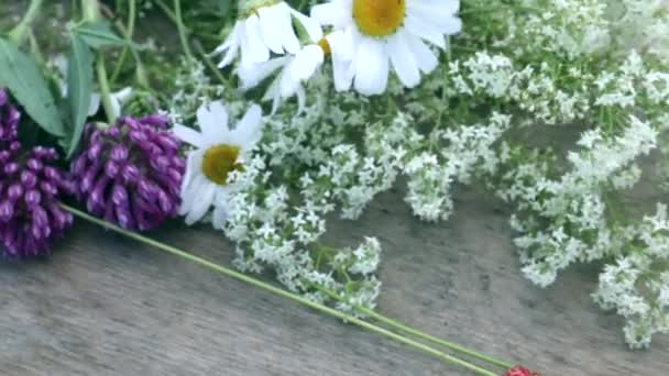 Forest strawberries on a wooden table — Stock Video