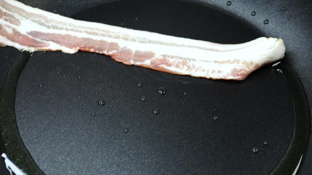 Tranche de bacon cuite dans une poêle — Video