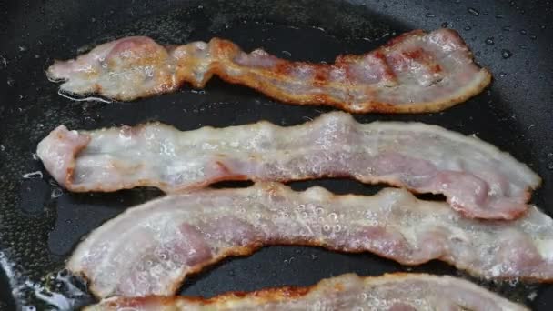 Bacon slice being cooked in frying pan — Stock Video