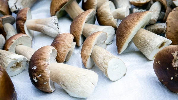 Beaucoup de champignons bolets cueillis dans la forêt — Photo