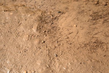 Çamur doku arka plan. Doğal afet