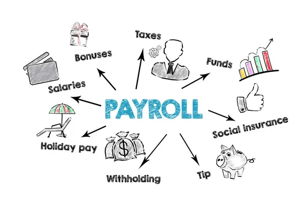 Payroll, work, opportunities, finance and insurance concept