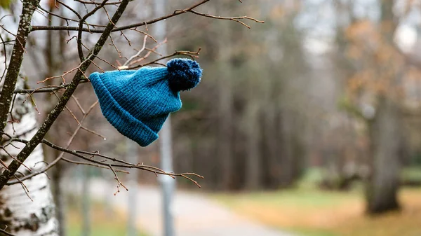 Elveszett téli kalap a faágakon. Szeles, esős őszi nap — Stock Fotó