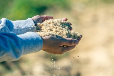 Ellerinde odun kırıntıları, rüzgarda dalgalanan parçalar.