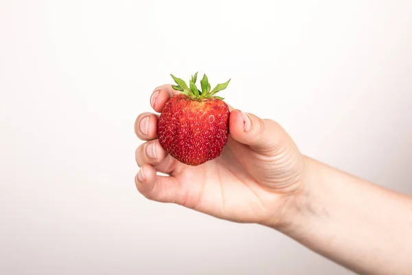 Fresa roja en mano sobre fondo blanco. Delicias veraniegas y vitaminas —  Fotos de Stock