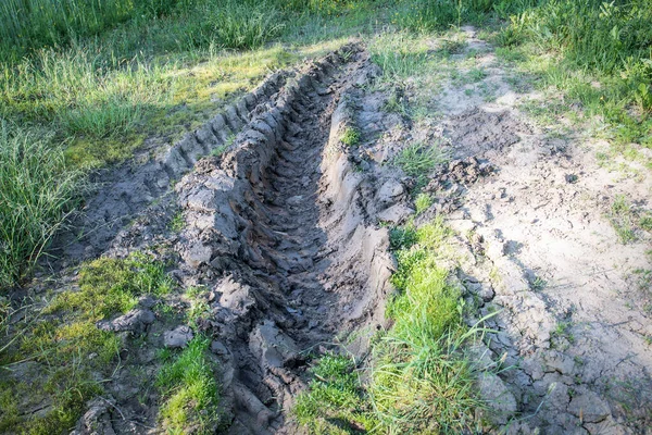Tractor tire tracks in mud, green grass around, dried up ground in sun — Stock Photo, Image