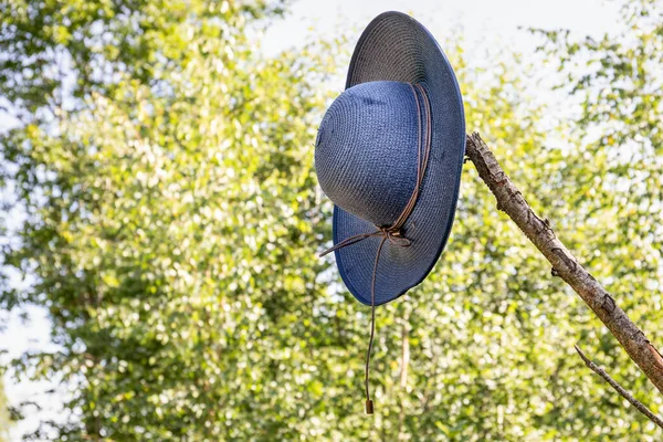 Niebieski słomkowy kapelusz na gałęzi w lesie. Zagubione i znalezione pojęcie — Zdjęcie stockowe
