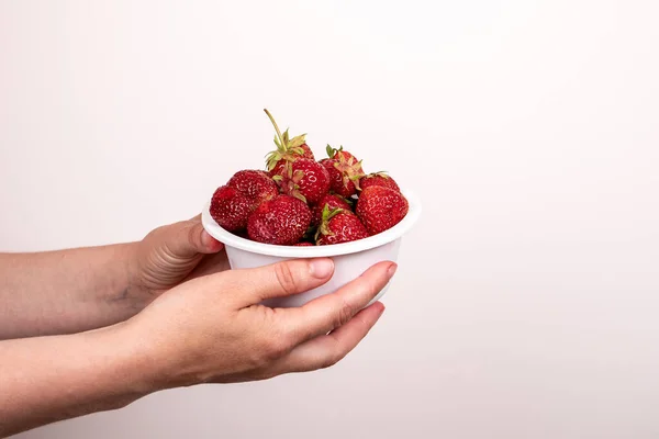 Fresas rojas de granja orgánica en tazón blanco sobre fondo blanco —  Fotos de Stock