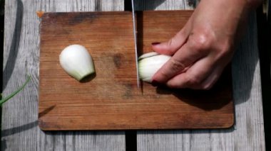 Ahşap dalda pişirmek için soğan doğramak. Yemek için İçindekiler