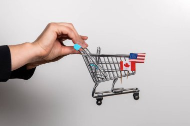 Alışveriş arabaları, Birleşik Devletler ve Kanada bayrakları. Ticaret anlaşması ve politika. İçeriye ve dışarıya aktar