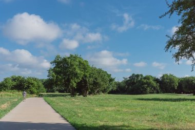 Arkadan görünüm etkin bir Asyalı adamın Park'ta sabahın erken saatlerinde koşu. Sağlıklı yaşam konsepti