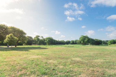 Gölgeli yol yeşil şehir parkı Irving, Texas, ABD ile. Güzel bakımlı çim çim, uzun boylu ağaçlar yemyeşil erken yaz sabahı sırasında güneş tarafından aydınlatılmış. Kentsel ekoloji kavramı arka plan