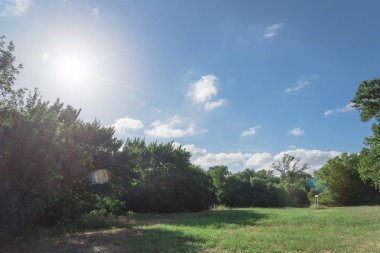 Güzel yeşil kent park Irving, Texas, ABD. Bakımlı çim çim, uzun boylu ağaçlar yemyeşil bahar erken sabah sırasında güneş tarafından aydınlatılmış. Amerika Birleşik Devletleri bir mükemmel yeşil ülke ekoloji olduğunu