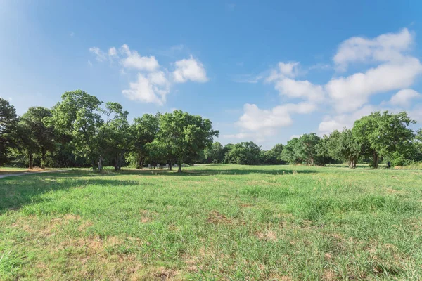 Beautiful green urban park in Irving, Texas, USA. Well-groomed grass lawn, tall trees lush illuminated by sunshine during early spring morning. The United States is an excellent green country ecology