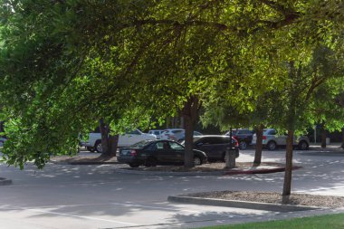 Coppell, Texas, ABD büyük Park adlı ağacın gölgede park etmiş arabalar.
