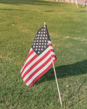 Amerikan bayrağı görüntülenen onuruna 4 Temmuz Bağımsızlık Günü'nde yeşil çim çim. Bayrakları mesafe arka planda satır